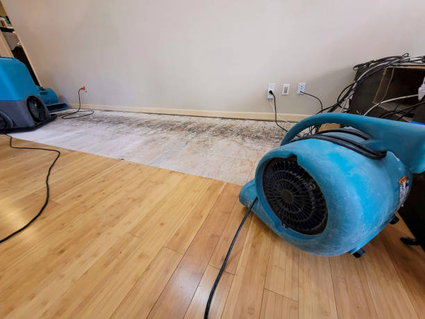 Professional Ceiling Water Damage Repair technician working in Houston, MN